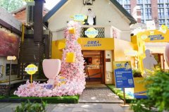 王一博代言 妙可蓝多惊艳发布全新系列产品